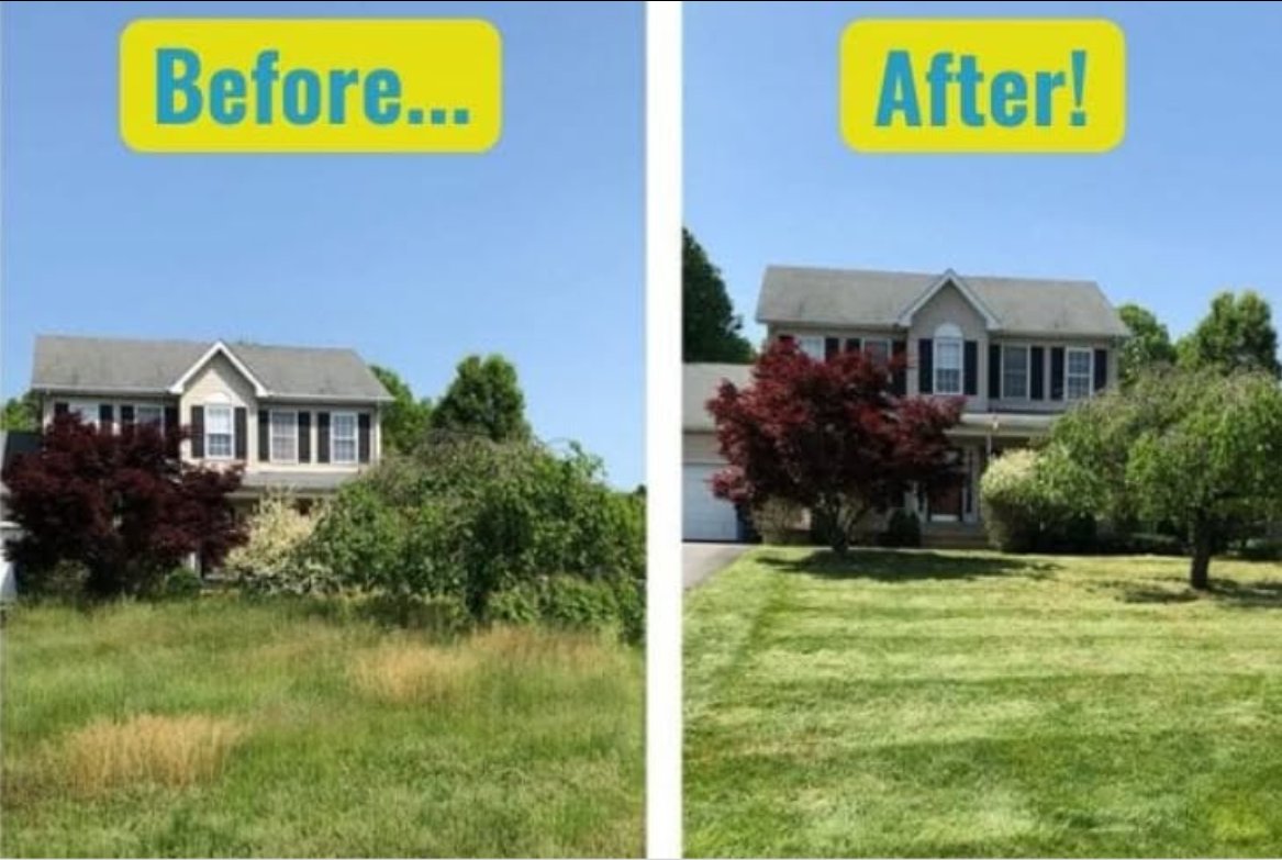 Before and after lawn transformation 2