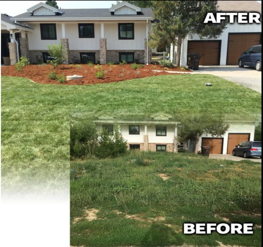 Before and after lawn transformation 3
